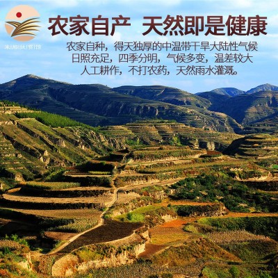 扶风寨山地绿豆2500g清凉降火绿豆糕绿豆粥绿豆冰沙图3