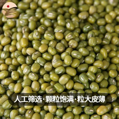 扶风寨山地绿豆2500g清凉降火绿豆糕绿豆粥绿豆冰沙图4