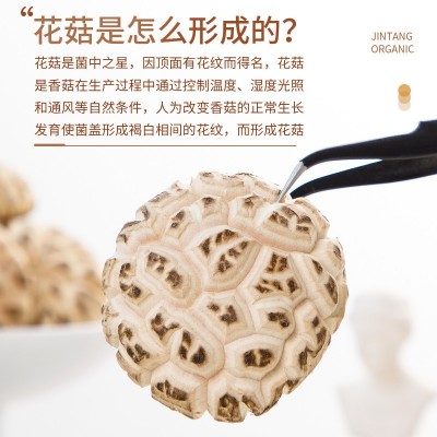 金唐 有机小花菇150g 食用菌菇香菇干货 火锅食材煲汤炖汤材料图4