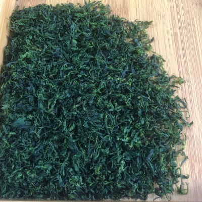 厂家批发四川宜宾清香小叶苦丁茶青山绿水春茶头采手工制作茶叶图3