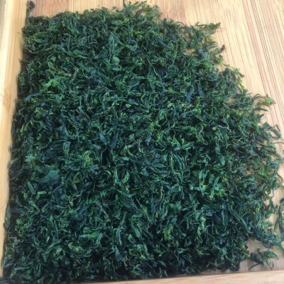 厂家批发四川宜宾清香小叶苦丁茶青山绿水春茶头采手工制作茶叶图2