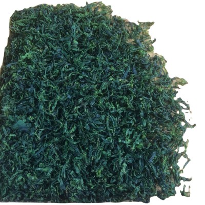 厂家批发四川宜宾清香小叶苦丁茶青山绿水春茶头采手工制作茶叶图5