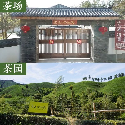 【2023年新茶上市】竺之润正宗安吉白茶明前特级250克小嫩芽花香图2