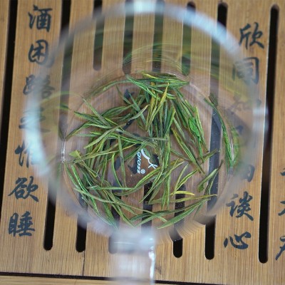 【2023年新茶上市】竺之润正宗安吉白茶雨前茶特级250克兰花香图2