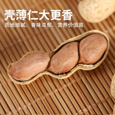 奶香奶油花生带壳水煮炒熟批发新季多味坚果零食散装伊食佳工厂图4