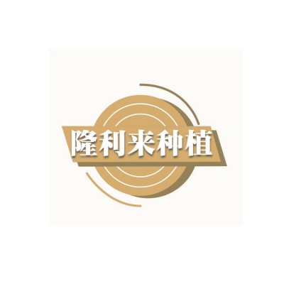 农家杂花豆 五谷杂粮大黄豆 杂花豆 现磨豆浆原料黄豆图5