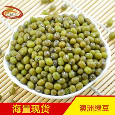 【厂家批发】金威玛澳洲绿豆 五谷杂粮绿豆粥绿豆沙原料图6
