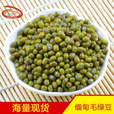 【厂家批发】金威玛缅甸毛绿豆五谷杂粮绿豆沙绿豆糕制作原料图3