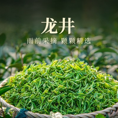 2023年新茶炒青绿茶红茶浓香型安溪云雾雪青香茶茶叶礼盒装250克图4