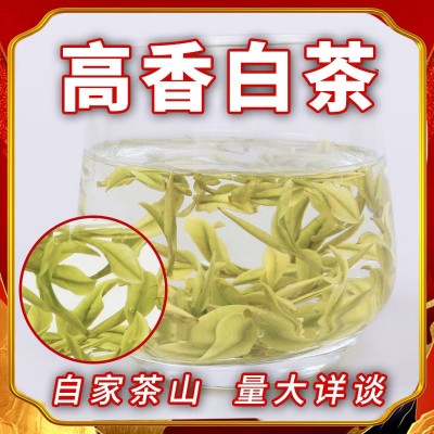 凤型白茶批发绿茶茶叶2023新茶高山明前250克雨前安吉散装茶苗图2