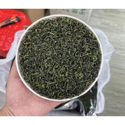手工卷白茶礼盒装2023年新茶绿茶雨前浓香型茶叶500g安吉茶苗批发图6