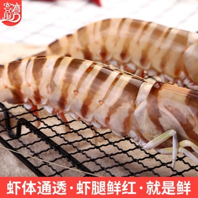海鲜批发 东山岛水产冷冻斑节虾餐馆酒店供货 产地货源加工定制图3