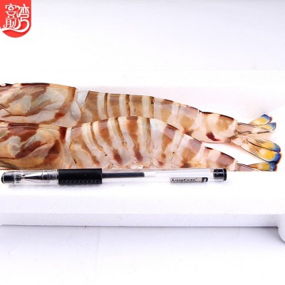 海鲜水产凤尾虾400g 东山岛水产大虎虾烧烤自助食材 厂家批发图7