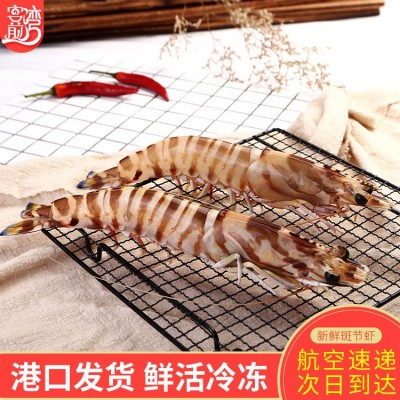 海鲜批发 东山岛水产冷冻斑节虾餐馆酒店供货 产地货源顺丰发货图3