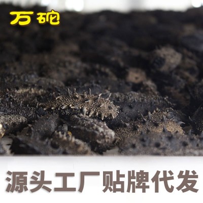 大连海参 生产厂家纯淡干海参500g辽刺参干海参可代发图2