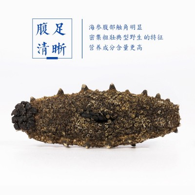 大连原产地直供500g散装大头辽刺淡干海参干货酒店佛跳墙食材批发图3