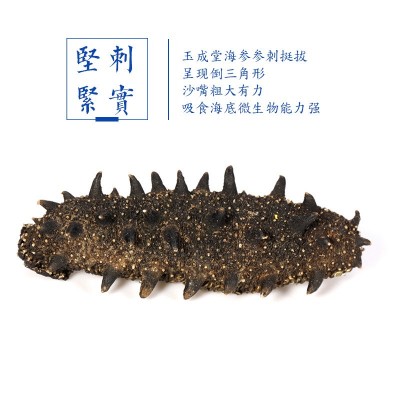 大连淡干海参500g海鲜干货500g散装源头厂家批发小头干海参图4