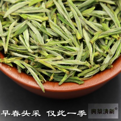 2023新绿茶毛峰明前嫩芽幽兰清香早春茶头采清新鲜爽清香绿茶图2