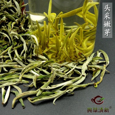 2023年新绿茶云南清香型明前春茶普洱滇绿茶芽春芽白毫茶叶图4