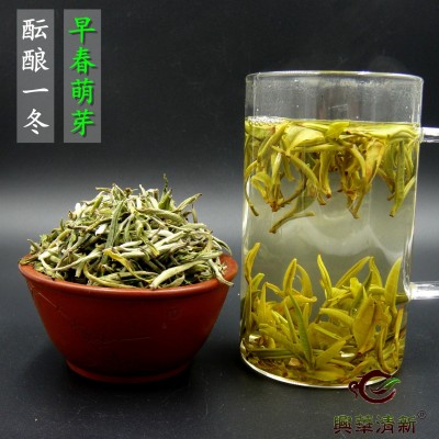 2023年新绿茶云南清香型明前春茶普洱滇绿茶芽春芽白毫茶叶图3