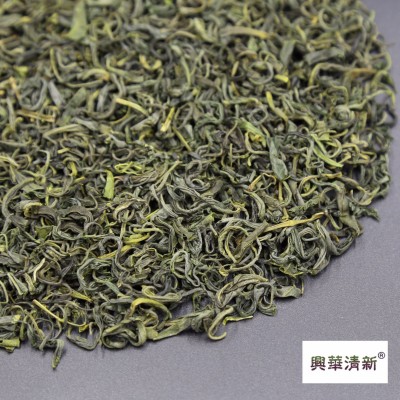2023年新绿茶浓香型板栗香高山云雾绿茶叶云南滇绿春茶绿香茶批发图3