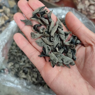 【东北黑木耳】新货秋木耳干货小碗耳肉厚特产原生无根老鼠耳图3