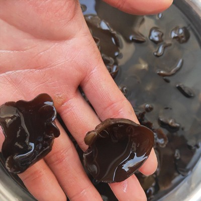 东北黑木耳批发 小碗耳 肉厚秋木耳火锅食材食用菌特产源头一手货图1
