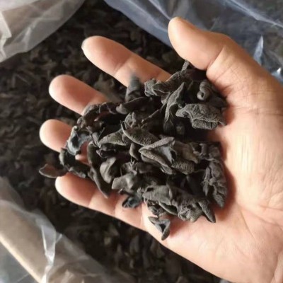 东北黑木耳批发 小碗耳 肉厚秋木耳火锅食材食用菌特产源头一手货图3
