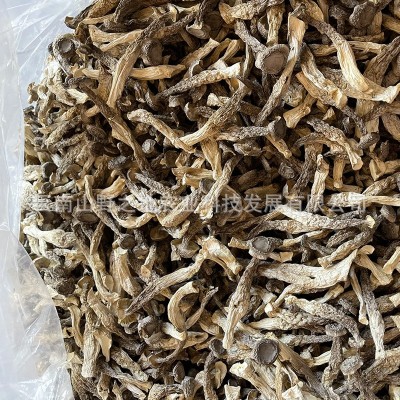 鹿茸菇干货厂家鹿茸菌脆脆菇云南特产品甄选整箱代发批发煲汤菌菇图3