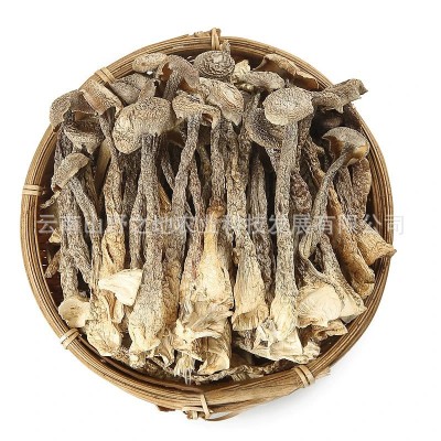 鹿茸菇干货厂家鹿茸菌脆脆菇云南特产品甄选整箱代发批发煲汤菌菇图5