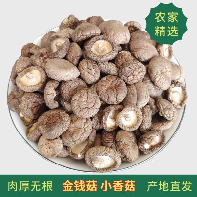 西峡小香菇干货250g散装金钱菇蘑菇干香菇无根冬菇食用菌产地直发图2