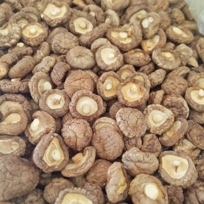 西峡小香菇干货250g散装金钱菇蘑菇干香菇无根冬菇食用菌产地直发图4