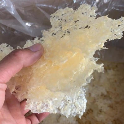 古田本草银耳快速出胶 无糖免洗免泡发糯耳 即食破壁银耳厂家直销图2