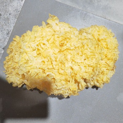 古田特产大花银耳500g 白木耳大花雪耳 无硫农家干货新货厂家批发图2