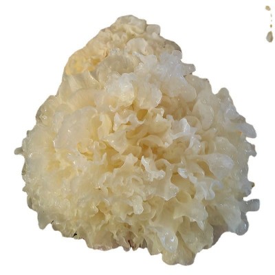 古田特产大花银耳500g 白木耳大花雪耳 无硫农家干货新货厂家批发图5