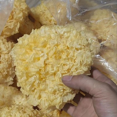 古田特产大花银耳500g 白木耳大花雪耳 无硫农家干货新货厂家批发图3
