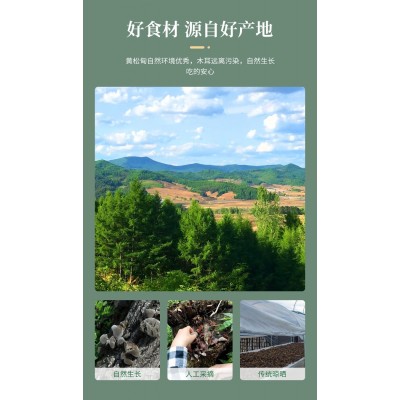 批发东北一级小朵黑木耳OEM贴牌散装500克食用菌小碗耳黑山秋木耳图4