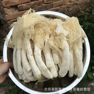 当季新货古田竹荪干货500g竹笙菇蕾不熏硫磺农家货菌菇火锅食材图3