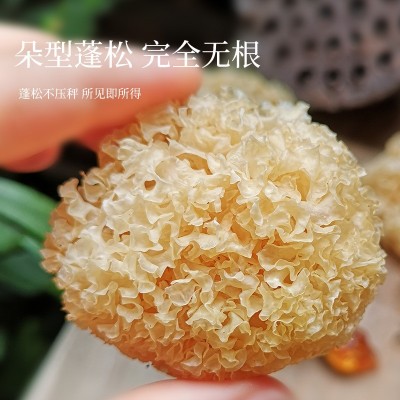 椴木小银耳500g白木耳糯耳丑耳干货无熏硫厂家直销批发图2
