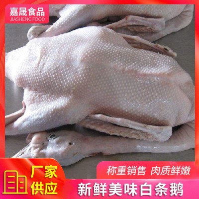 速冻全鹅厂家 冬季煲汤白条鹅 铁锅炖大鹅 批发新鲜鹅肉图2