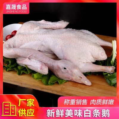 速冻全鹅厂家 冬季煲汤白条鹅 铁锅炖大鹅 批发新鲜鹅肉图4