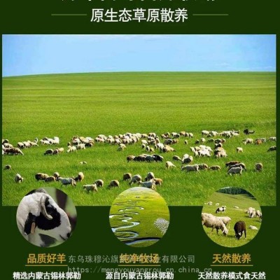 羊后腿肉厂家*** 内蒙锡盟羊肉 蒙优羊天然***散养羊后腿肉图3