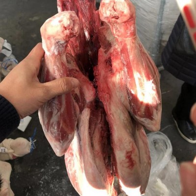 乌拉圭 344厂羊胴体 进口羊肉批发图3
