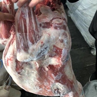 乌拉圭 344厂羊胴体 进口羊肉批发图2
