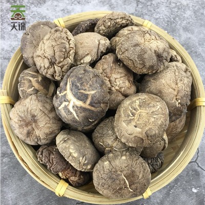 天锦菌林天下有机香菇200g东北特产大兴安岭有机香菇无添加200g袋图3