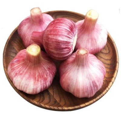 【鲜蒜】10斤现挖鲜蒜湿大蒜腌糖醋蒜大蒜头紫皮嫩蒜新鲜祘头图5