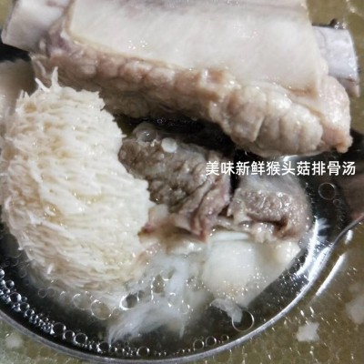 57盒/箱 现摘现发 新鲜直达 新鲜猴头菇 古田特产 不苦的猴头菇图4