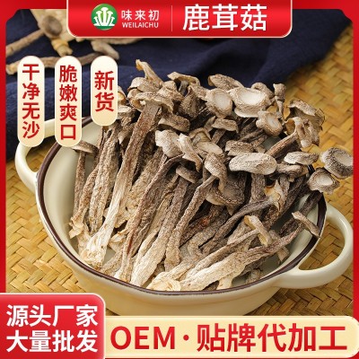 【产地直发】鹿茸菇散装批发鹿茸菌干货多种规格酒店食材批发图3