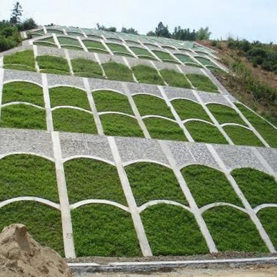 基地批发护坡王草种子护坡固土边坡绿化耐寒耐旱绿化四季常青草籽图2