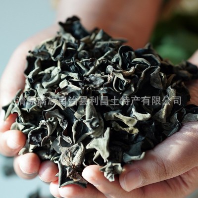 【散货黑木耳】东北特产原产地厂家批发朵大肉厚黑木耳干货包邮图2
